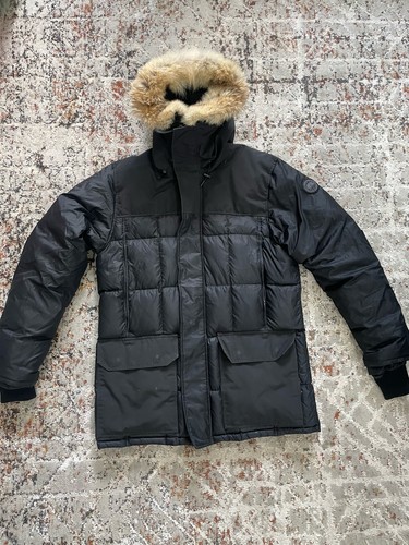 Canada goose arctic - canada,