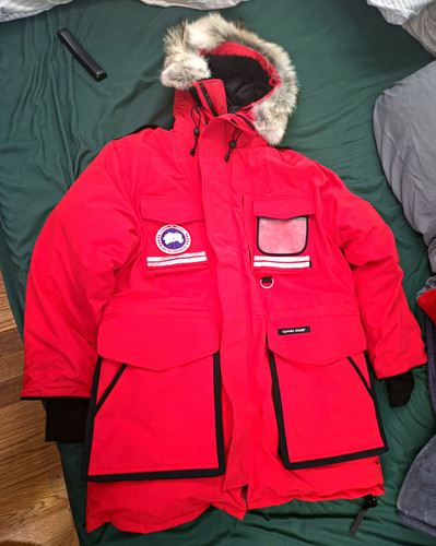 Canada goose arctic - arctic, program