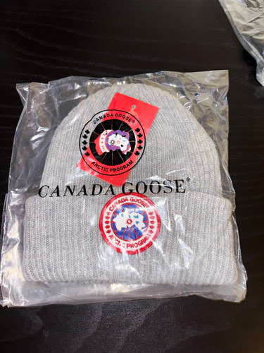 Canada goose arctic - canada,