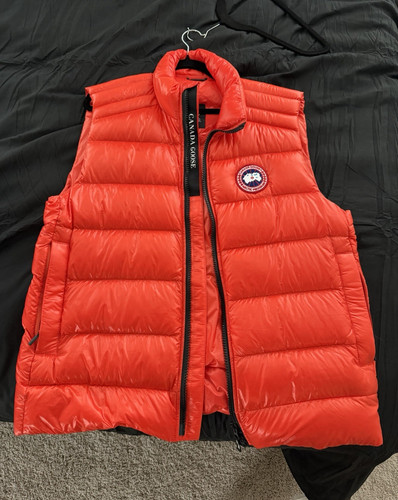 Canada goose arctic program - arctic,