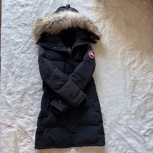 Canada goose arctic program - arctic,