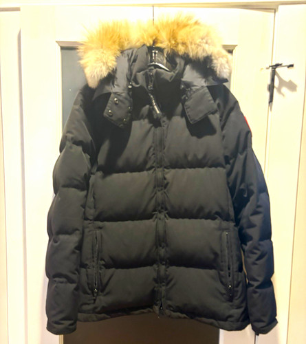 Canada goose arctic - canada,