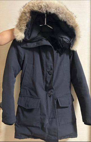 Canada goose arctic program - canada,