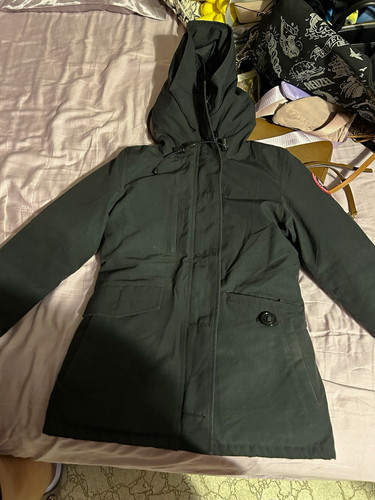Canada goose arctic program - goose,