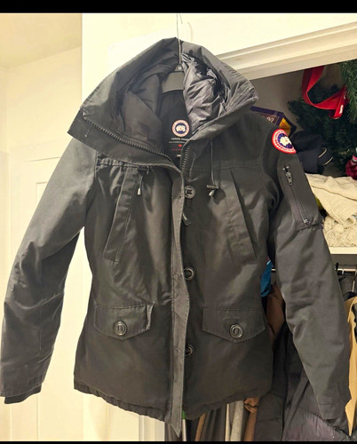 Canada goose black hooded - black, down