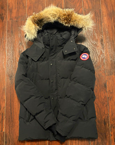 Canada goose arctic - canada, program