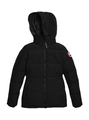 Canada goose arctic program - goose,