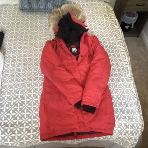 Canada goose arctic - canada,
