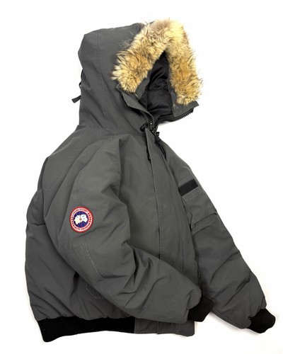 Canada goose chilliwack arctic - goose,