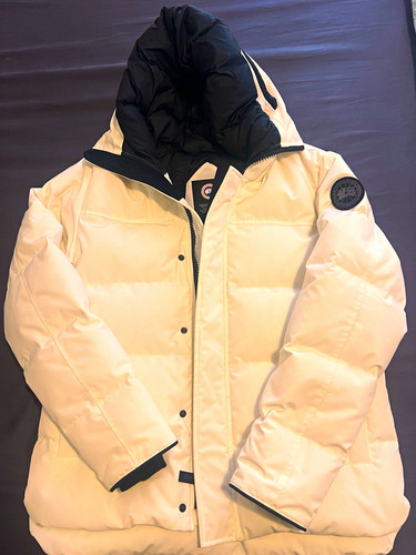 Canada goose arctic program - goose,