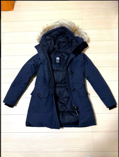 Canada goose arctic program - canada,