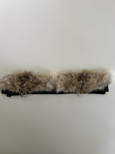 Canada goose arctic - goose, program