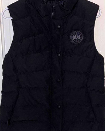 Canada goose arctic - canada,