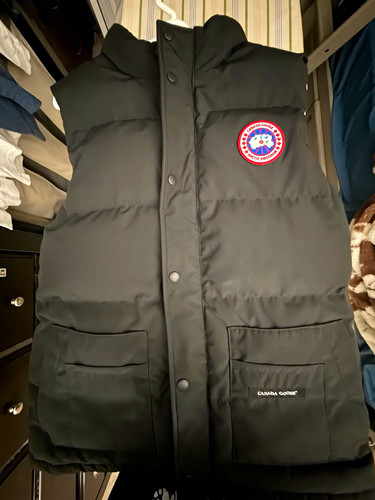 Canada goose black - goose, down