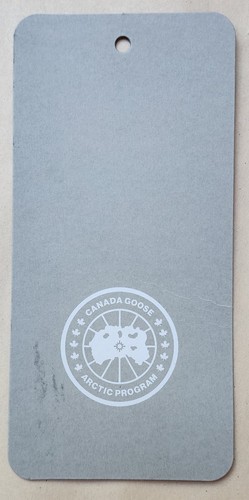 Canada goose arctic - canada,