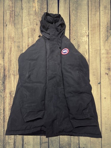 Canada goose arctic - canada,
