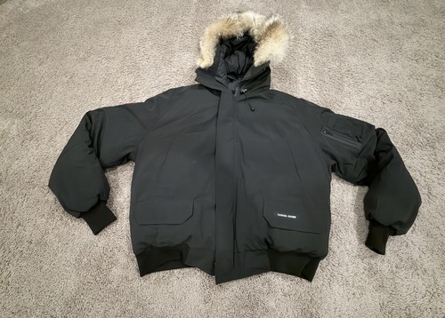 Canada goose arctic - canada,
