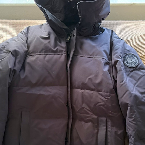 Canada goose arctic program - canada,