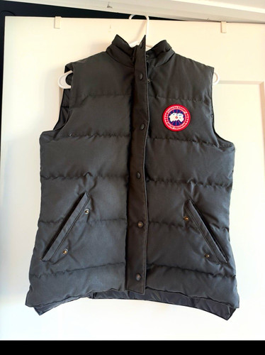 Canada goose arctic program - goose,
