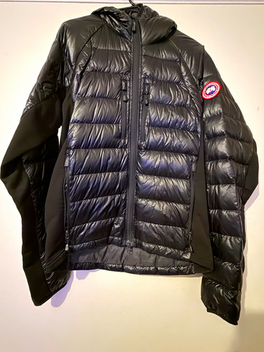 Canada goose hybridge - canada, lite