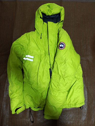 Canada goose arctic - canada, program