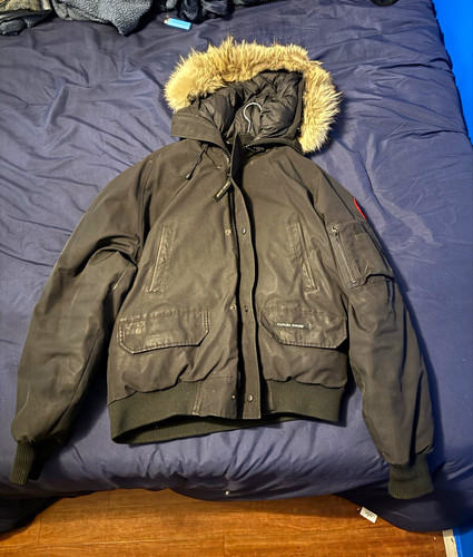 Canada goose arctic - canada, program