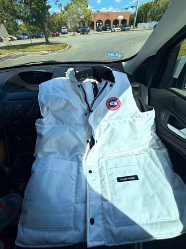 Canada goose white - goose, freestyle