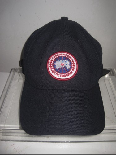 Canada goose arctic program - canada,
