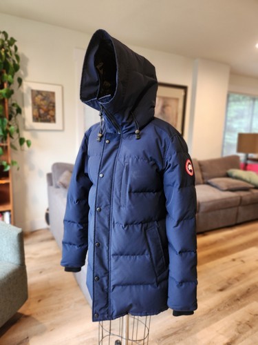 Canada goose carson arctic - goose,