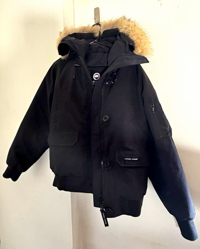 Canada goose arctic program - goose,