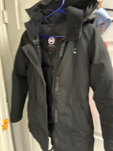 Canada goose arctic program - goose,
