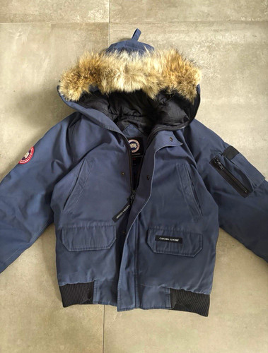 Canada goose chilliwack arctic - goose,