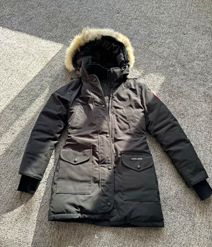 Canada goose black down - canada,