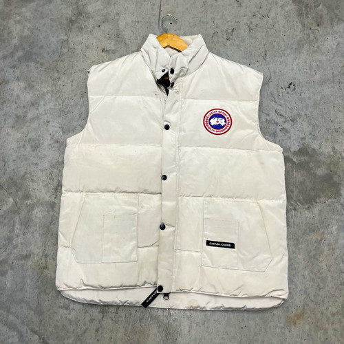 Canada goose arctic - goose,