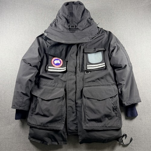 Canada goose snow - canada,
