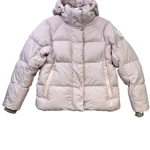 Canada goose arctic - canada, program