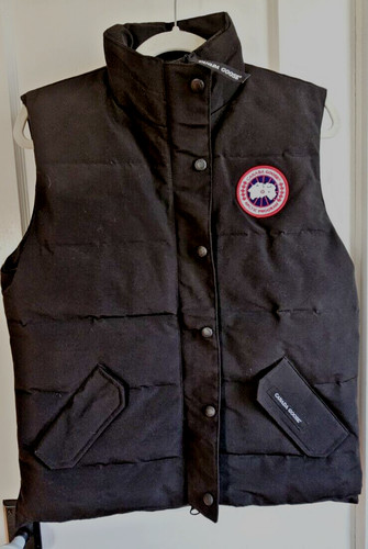 Canada goose arctic - goose,