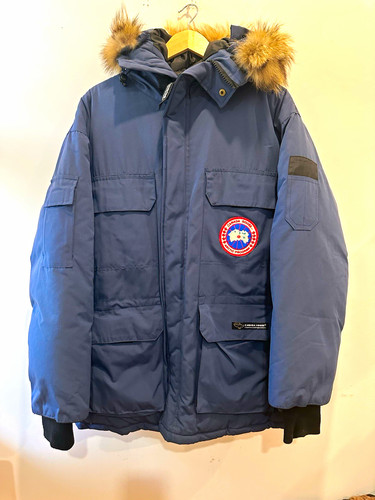 Canada goose arctic program - canada,